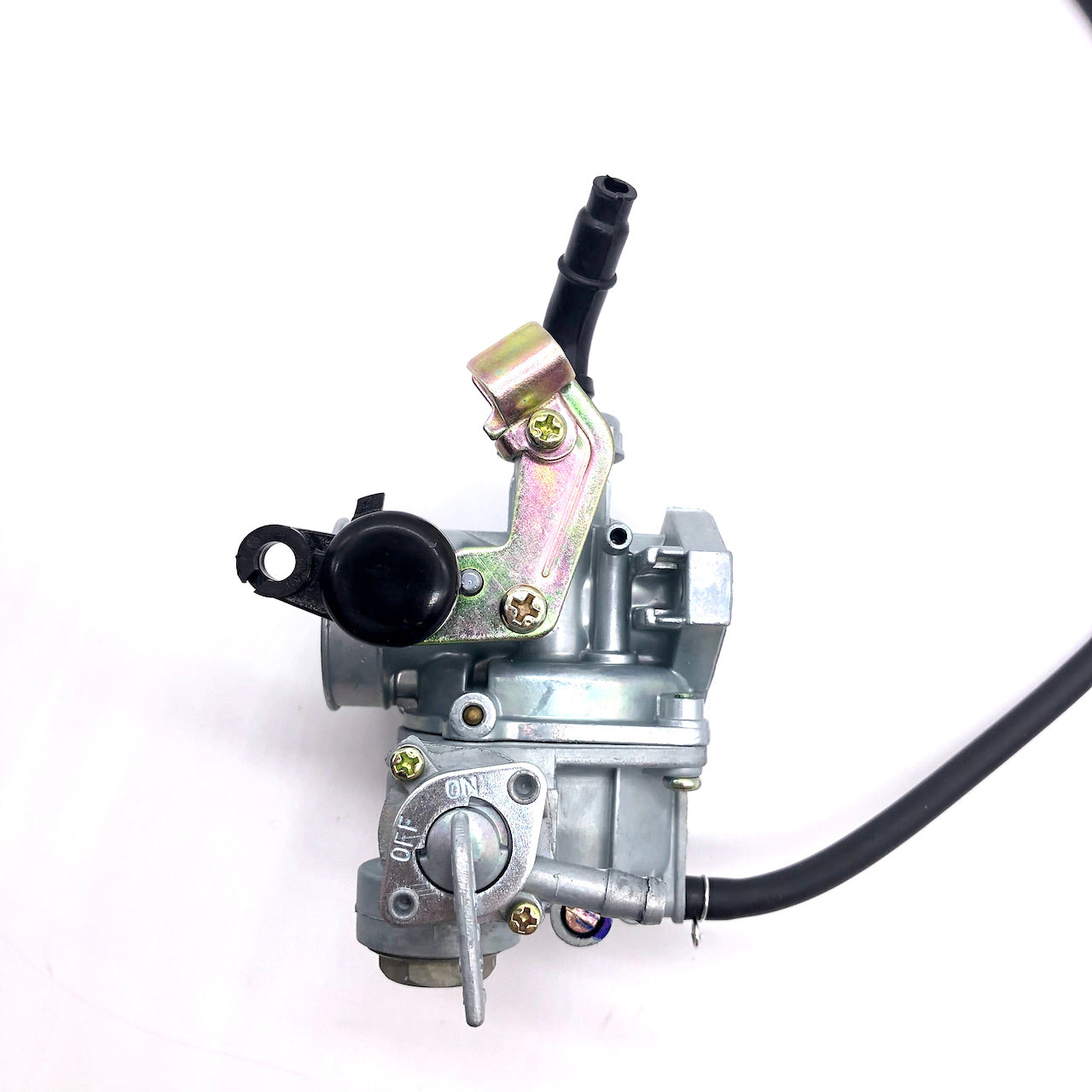 Carburetor-PZ19